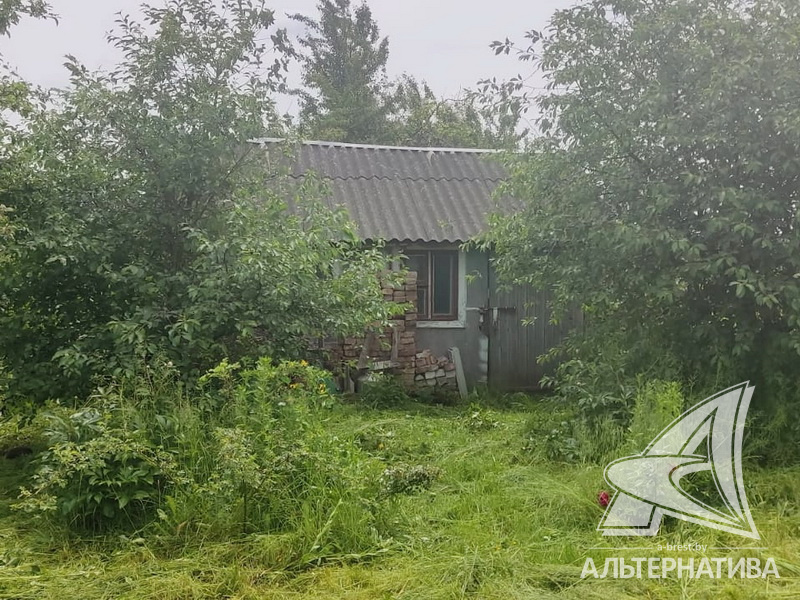  6сот., Брестский р-н (Чернинский с/с)