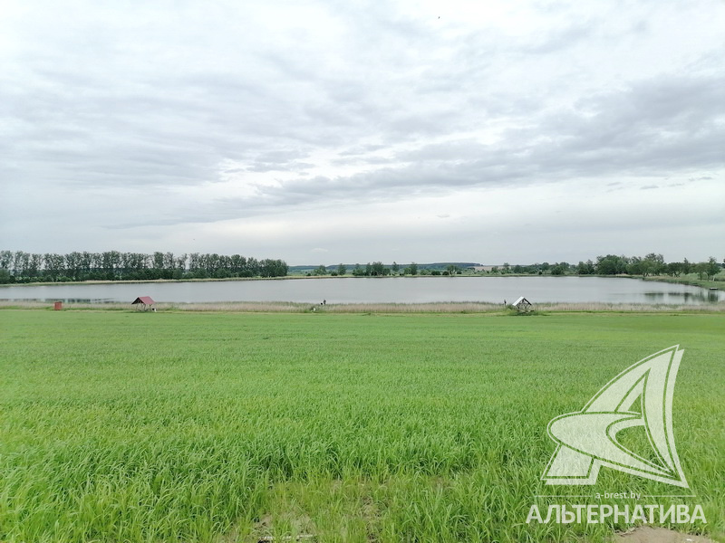  53.7кв.м. (участок 20.86 сот.), Брестский р-н