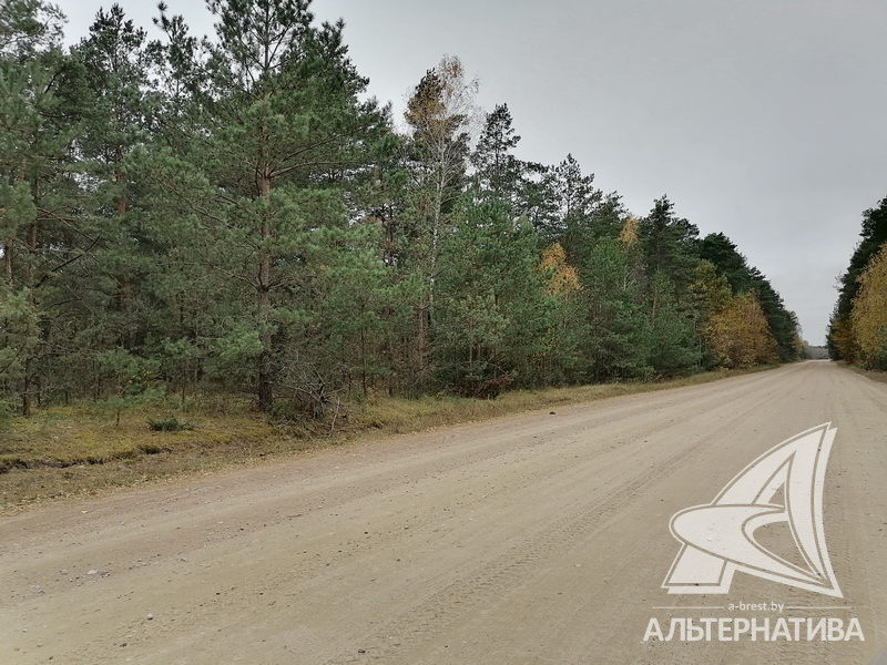  79.1кв.м. (участок 25 сот.), Брестский р-н