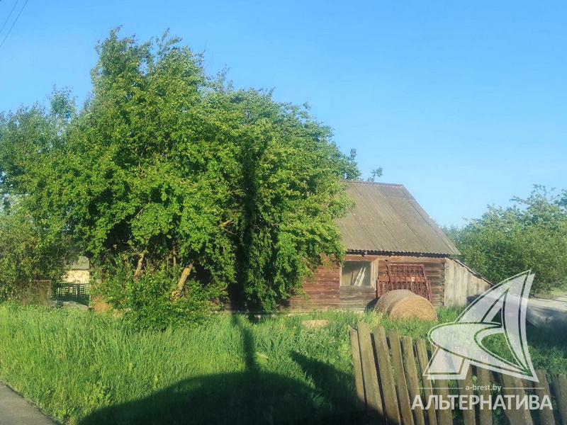  24.98сот., Каменецкий р-н (Видомлянский с/с)