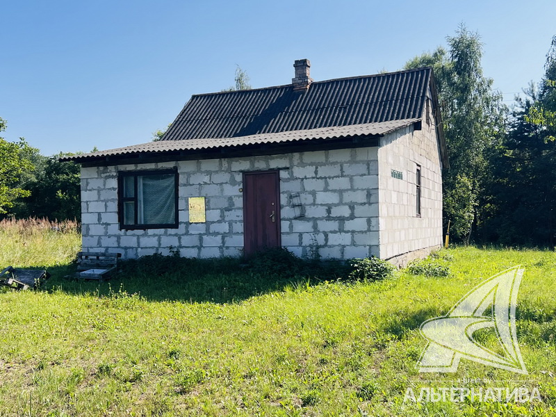  61.7кв.м. (участок 12.17 сот.), Брестский р-н