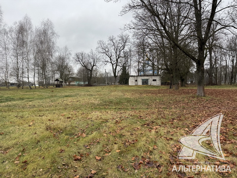  955.7м.кв. (участок 381.86сот.), Каменецкий