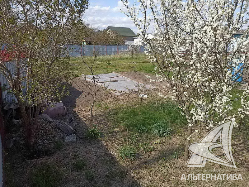  8.04сот., Брестский р-н (Мухавецкий с/с)