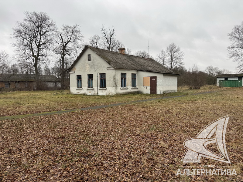  955.7м.кв. (участок 381.86сот.), Каменецкий