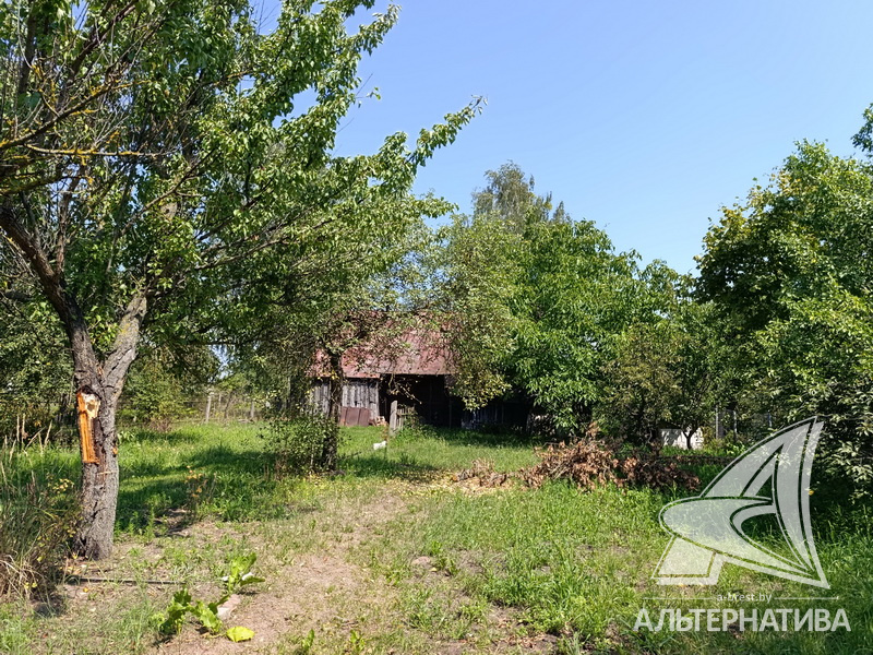  25сот., Жабинковский р-н (Ракитницкий с/с)