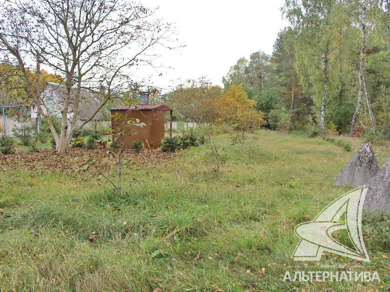  223.5кв.м. (участок 25 сот.), Брестский р-н