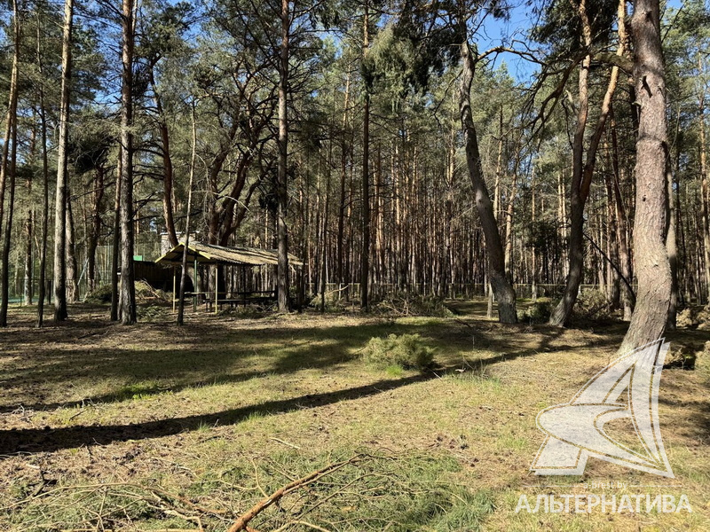  349.3м.кв. (участок 72.82сот.), Кобринский