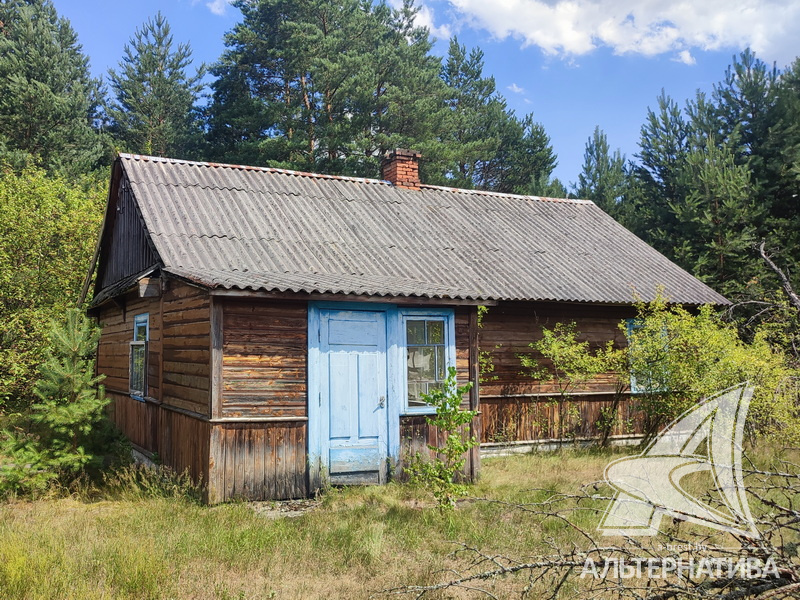 Дом 51.1кв.м. (участок 21 сот.), Брестский р-н (1960)
