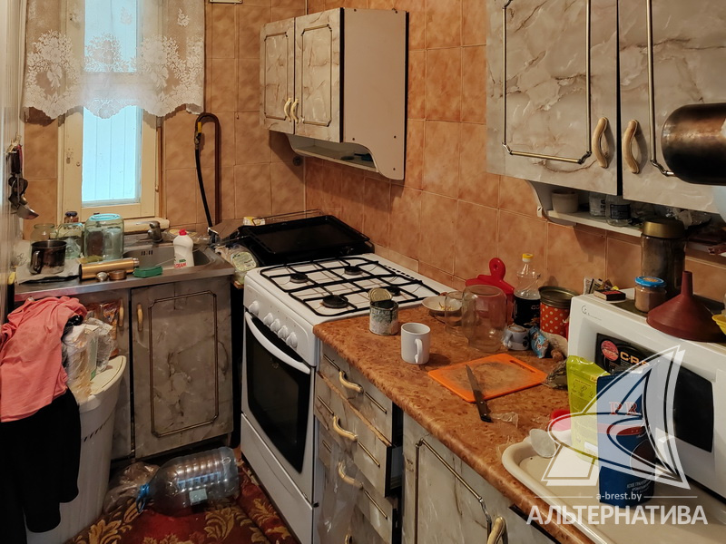  45.9кв.м. (участок 5 сот.), Брестский р-н