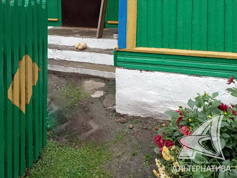  82.1кв.м. (участок 25 сот.), Брестский р-н