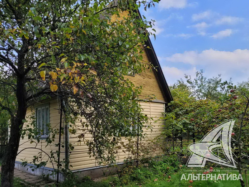  41.1кв.м. (участок 6 сот.), Брестский р-н