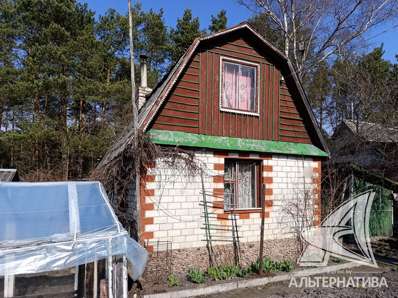  36.9кв.м. (участок 4.19 сот.), Брестский р-н