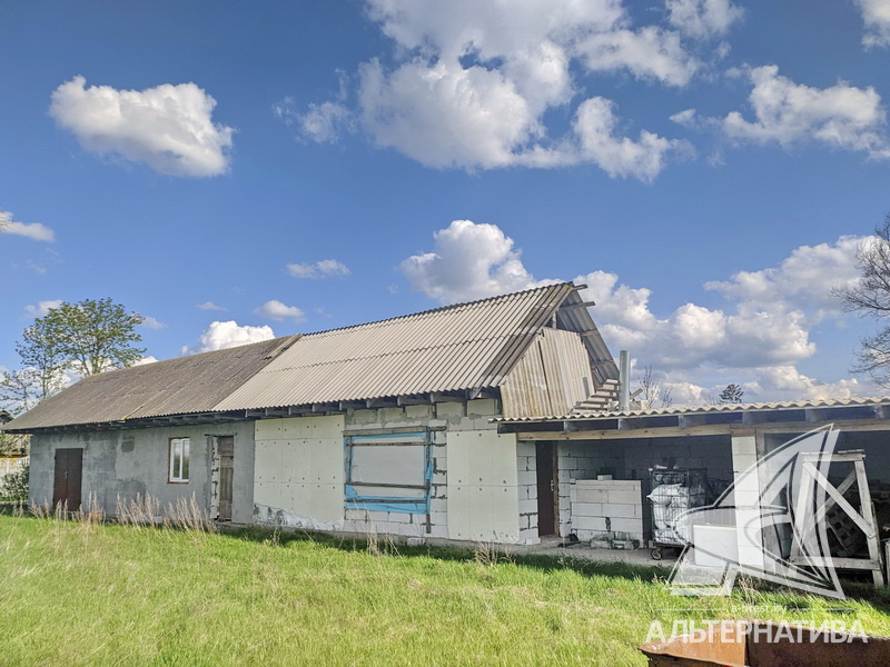  95.6кв.м. (участок 25 сот.), Брестский р-н