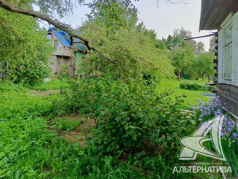  40.2кв.м. (участок 12.5 сот.), Жабинковский р-н