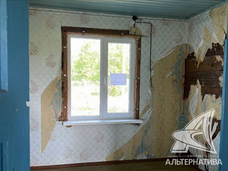  кв.м. (участок 24.81 сот.), Каменецкий р-н