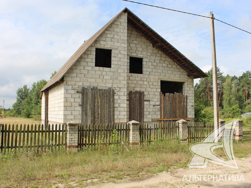  119.1кв.м. (участок 25 сот.), Брестский р-н