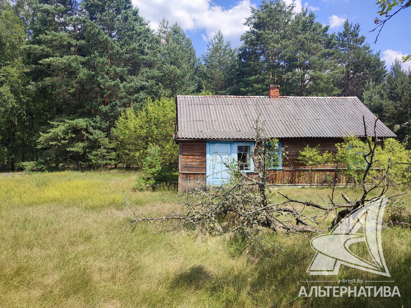  51.1кв.м. (участок 21 сот.), Брестский р-н