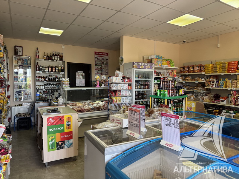  510.6м.кв. (участок 26.62сот.), Брестский