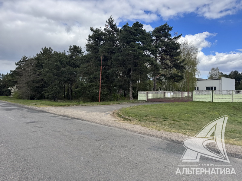  908.7м.кв. Брестский