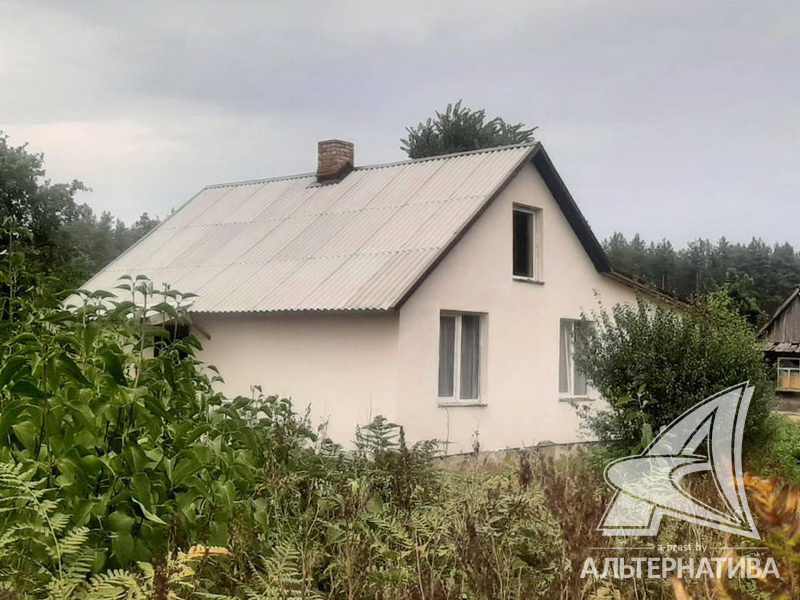  49.7кв.м. (участок 25 сот.), Каменецкий р-н