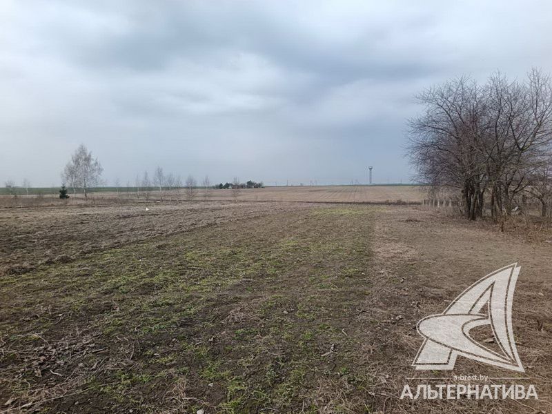 43.8кв.м. (участок 18 сот.), Брестский р-н