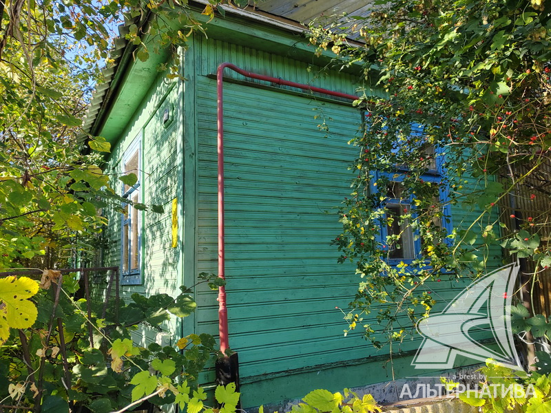  48.3кв.м. (участок 1.92 сот.), Каменецкий р-н