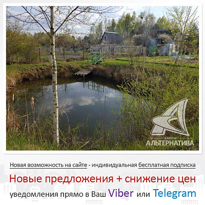  г. Брест