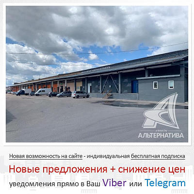 Складское помещение в Бресте в аренду - 230026A | АЛЬТЕРНАТИВА Брест