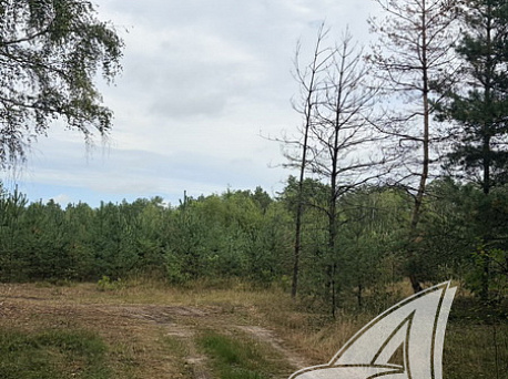  1-этаж